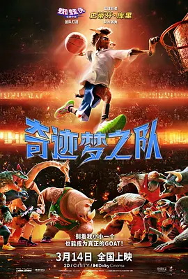 欧美乱视频